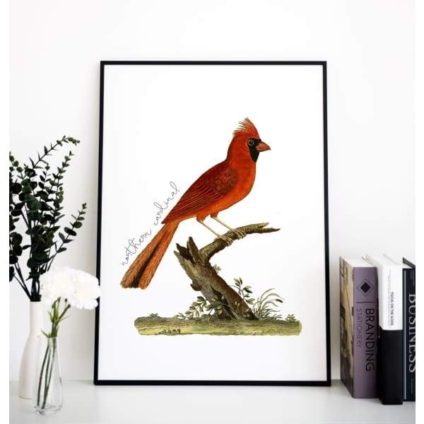 North Carolina state bird | Cardinal - 5x7 Unframed Print - State Bird