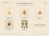 The Harbor Archive Set — Poppy + Pacific | Paperfinch Worlds