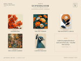 The Fog Line Studio — Poppy + Pacific | Paperfinch Worlds
