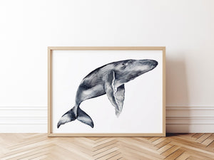 a picture of a whale in black and white