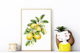 a painting of a lemon tree with two lemons on it