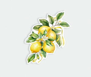 a sticker of lemons with leaves on a white background