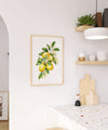 a picture of a lemon tree hanging on a wall