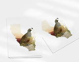 California State Bird | Flora & Fauna Art Print