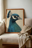 The Canyon Peacock – Art Print | Poppy + Pacific | California