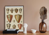 Plate XLV — Art Print | Poppy + Pacific | California