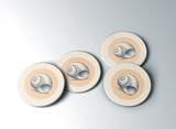 Moon Snail – Coaster | Poppy + Pacific | California