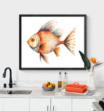 The Spotted Specimen – Art Print | Poppy + Pacific | California
