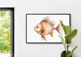 The Spotted Specimen – Art Print | Poppy + Pacific | California