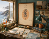 Kelp Study · Observation No. 07 — Art Print | Poppy + Pacific | California