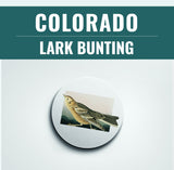 Colorado State Bird | Flora & Fauna Coaster Set