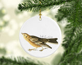 Colorado State Bird | Flora & Fauna Ornament