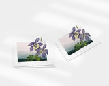 Colorado State Flower | Flora & Fauna Art Print