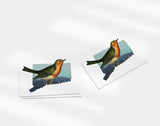 Connecticut State Bird | Flora & Fauna Art Print
