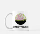 Charlottesville Virginia map and skyline mug