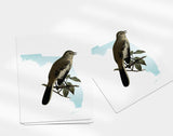 Florida State Bird | Flora & Fauna Art Print