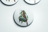Georgia State Bird | Flora & Fauna Coaster Set