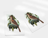 Georgia State Bird | Flora & Fauna Art Print