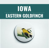 Iowa State Bird | Flora & Fauna Coaster Set