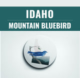 Idaho State Bird | Flora & Fauna Coaster Set