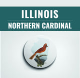 Illinois State Bird | Flora & Fauna Coaster Set