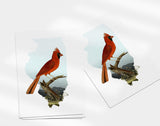 Illinois State Bird | Flora & Fauna Art Print