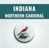 Indiana State Bird | Flora & Fauna Coaster Set