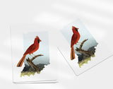Indiana State Bird | Flora & Fauna Tea Towel