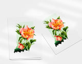 Indiana State Flower | Flora & Fauna Art Print