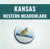 Kansas State Bird | Flora & Fauna Coaster Set