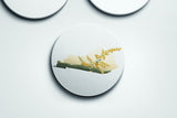 Kentucky State Flower | Flora & Fauna Coaster Set