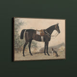 Vintage Horse + Dog — Kentucky Portrait Print