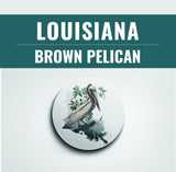 Louisiana State Bird | Flora & Fauna Coaster Set