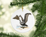 Louisiana State Bird | Flora & Fauna Ornament