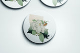 Louisiana State Flower | Flora & Fauna Coaster Set