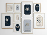 Night Blooming Specimen — Nocturnal Conservatory Print No. 01