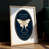 Luna Moth — Nocturnal Conservatory Oval Print