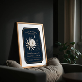 Night Blooming Specimen — Nocturnal Conservatory Print No. 01