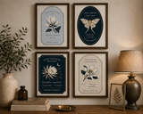 Night Blooming Specimen — Nocturnal Conservatory Print No. 01