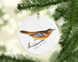 Maryland State Bird | Flora & Fauna Ornament