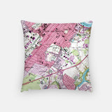 Back of the New Brunswick, New Jersey map and skyline pillow showing the full city map