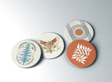 Douglas — Coaster | Ember + Evergreen | Oregon