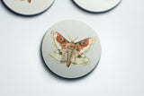 Drawn to It — Coaster | Ember + Evergreen | Oregon