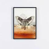 Drawn to It — Art Print | Ember + Evergreen | Oregon