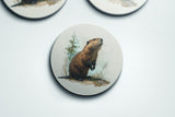 The Surveyor — Coaster | Ember + Evergreen | Oregon