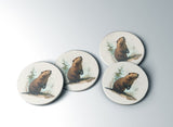 The Surveyor — Coaster | Ember + Evergreen | Oregon