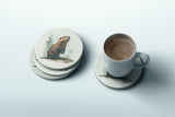 The Surveyor — Coaster | Ember + Evergreen | Oregon