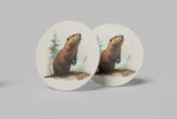 The Surveyor — Coaster | Ember + Evergreen | Oregon