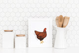 Rhode Island State Flower | Flora & Fauna Tea Towel