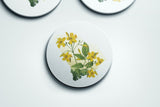 South Carolina State Flower | Flora & Fauna Coaster Set
